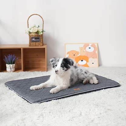 High-quality egg-shaped sponge-filled pet mat suitable for all seasons, cats and dogs.