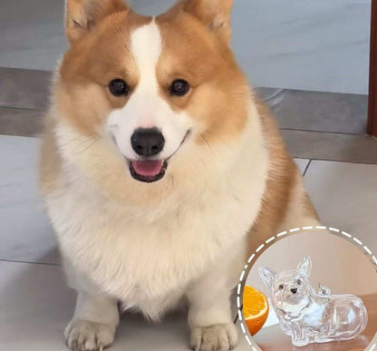 🏆Flash Sale 49%OFF❤️My Pet Keychain🐈🐕