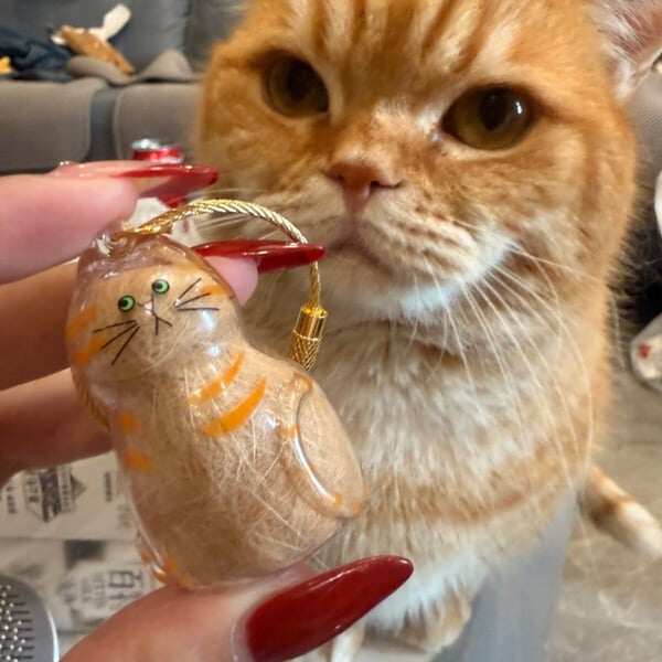 🏆Flash Sale 49%OFF❤️My Pet Keychain🐈🐕