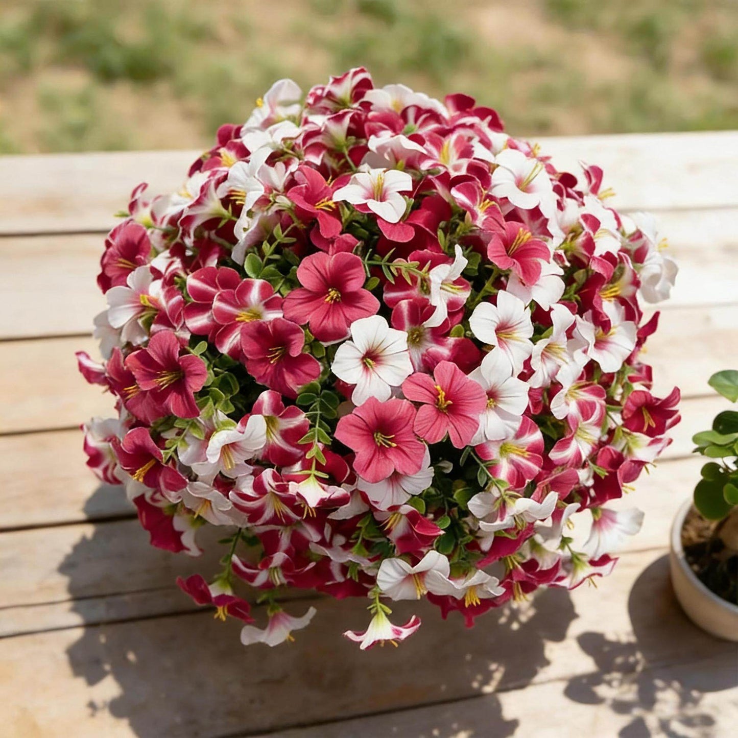 💥 Hot Sale 🌟 UV Resistant Artificial Petunia Flowers