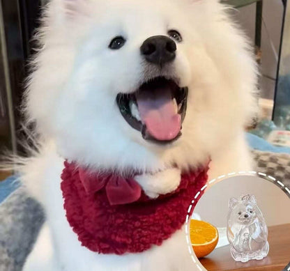 🏆Flash Sale 49%OFF❤️My Pet Keychain🐈🐕